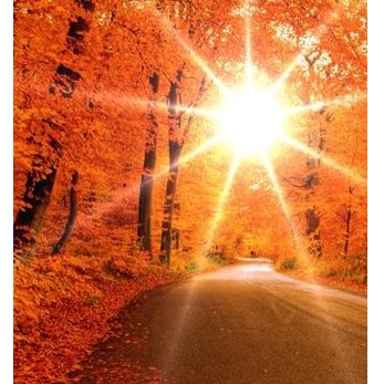 Brenda Byrd Photo 15