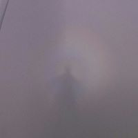 Keith Tracy Photo 42