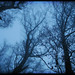 Dawn Faber Photo 5
