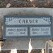 Mary Carver Photo 39