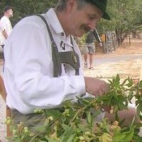 Thomas Kauffman Photo 15