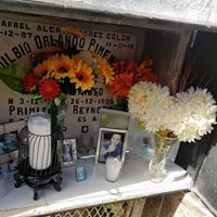 David Brownlee Photo 10