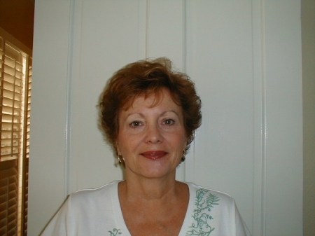 Nancy Stout Photo 31