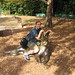 James Fogal Photo 10