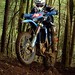 Phillip Mclaughlin Photo 34