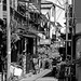Markus Alley Photo 6