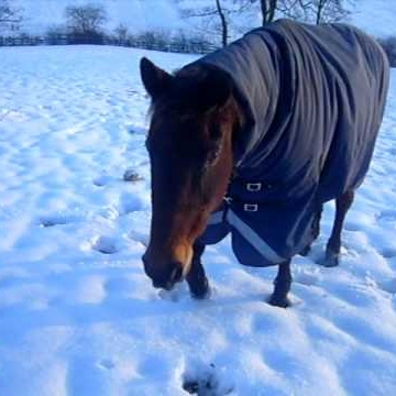 Katherine Morton Photo 12