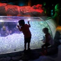 Tracy Hendrix Photo 16