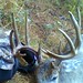 Kenneth Reece Photo 10