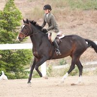 Cynthia Cain Photo 14