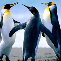 Fred Stewart Photo 11