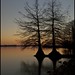 Ray Barnette Photo 15
