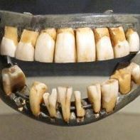 Christopher Gates Photo 33 Christopher Gates Photo 33