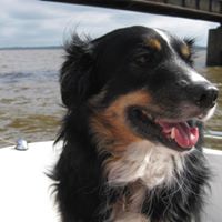 Juanita Hamilton Photo 18