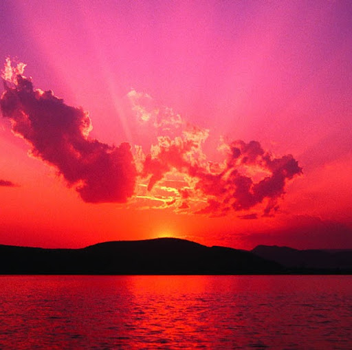 Victoria Gardner Photo 38