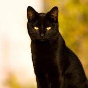 Julia Pendleton Photo 14