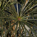 Cynthia Bloom Photo 24