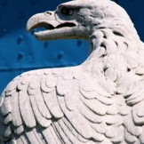 Vincent Carloni Photo 10