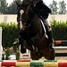 Shelia Murphy Photo 38