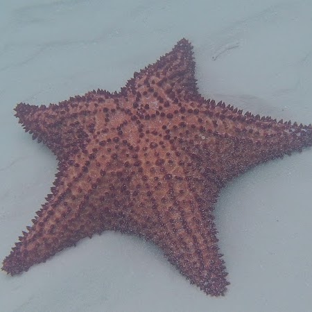 Daniel Maurin Photo 9