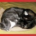 Janice Angers Photo 5