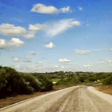 Juanita Torres Photo 35