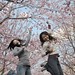 Cary Huang Photo 6