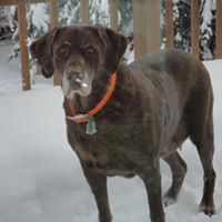 Cindy Sisson Photo 23