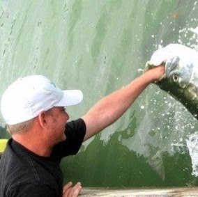 Dave Batchelor Photo 12