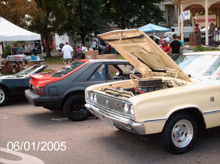 Shelly Wilson Photo 21