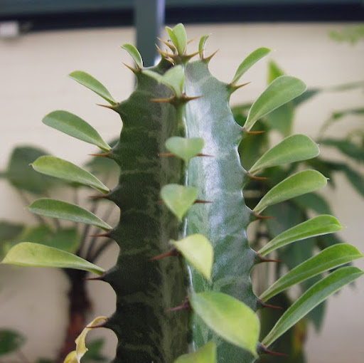 Michael Quirk Photo 45 Michael Quirk Photo 45