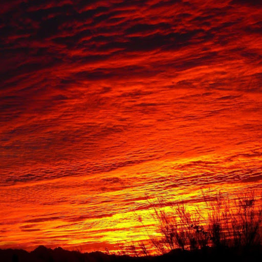 David Weitz Photo 15