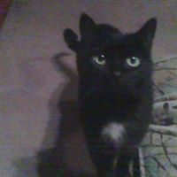 Cynthia Deldin Photo 1