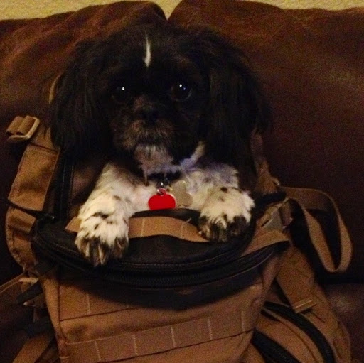 Jon Jennings Photo 35