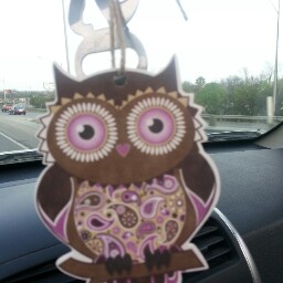 Sharon Gonzales Photo 10