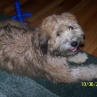 Janet Iverson Photo 12