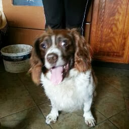 Susan Tormey Photo 1