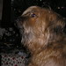 Stanley Chien Photo 20