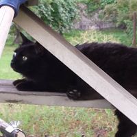 Eileen Russell Photo 28