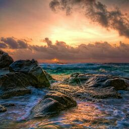 Derrick Matthews Photo 29