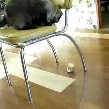 Angela Draper Photo 23