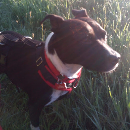 Angela Wilkinson Photo 15