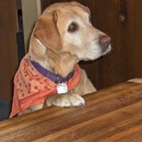 Phyllis Leonard Photo 19