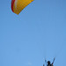 Dan Bohn Photo 35