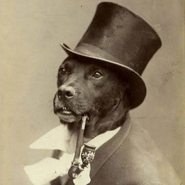 Steven Harper Photo 16