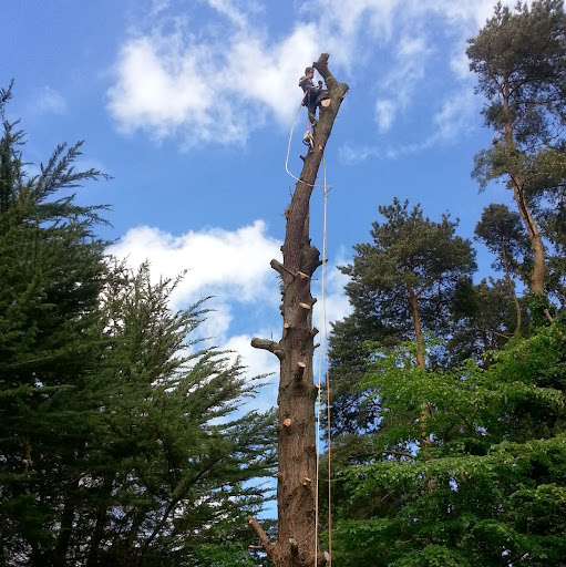 Robert Jameson Photo 25