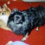 Timothy Choate Photo 11