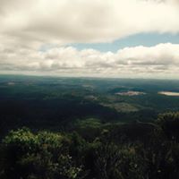 Crystal Rankin Photo 23