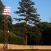 Mary Dumas Photo 17