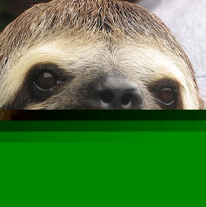 Stephen Shuler Photo 8